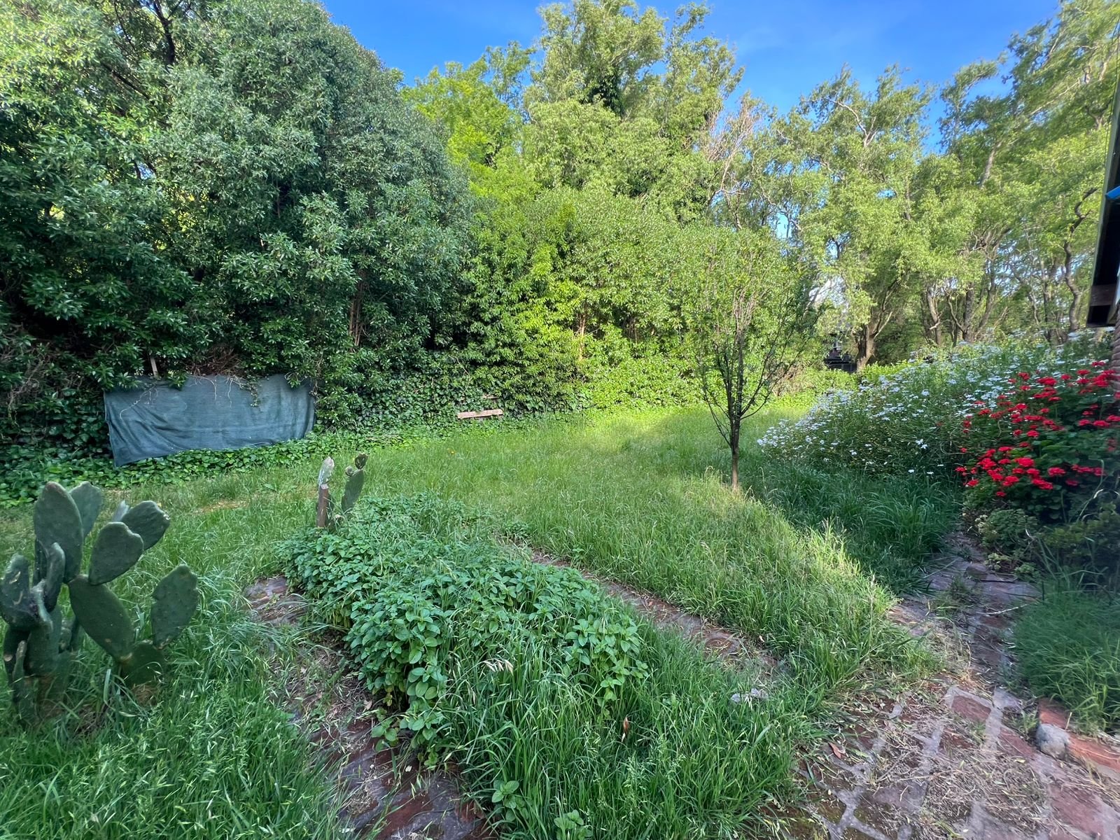 CHALET EN VENTA BARRIO ALFAR - Medio 3