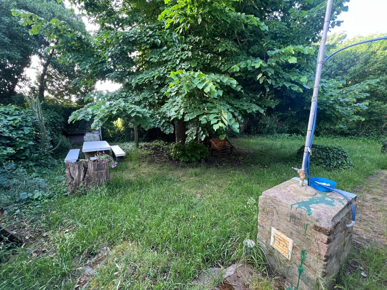 CHALET EN VENTA BARRIO ALFAR - Medio 6