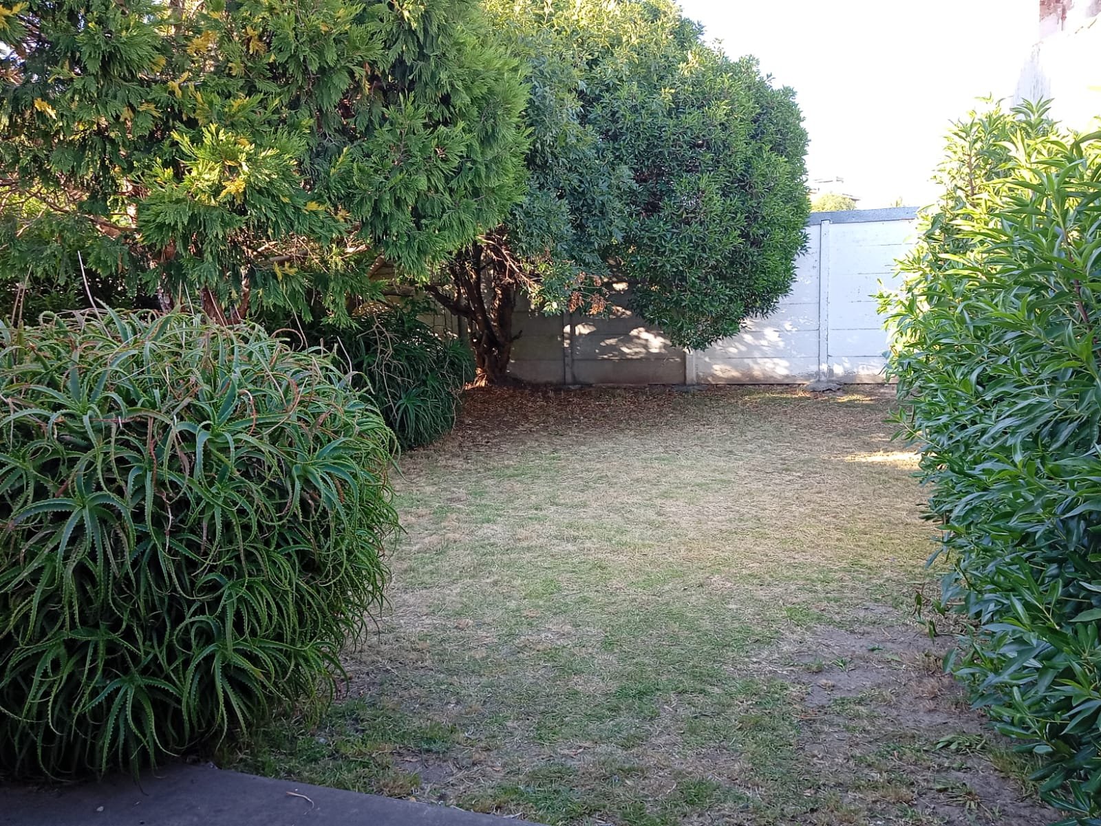 ALQUILER PERMANENTE - Medio 4