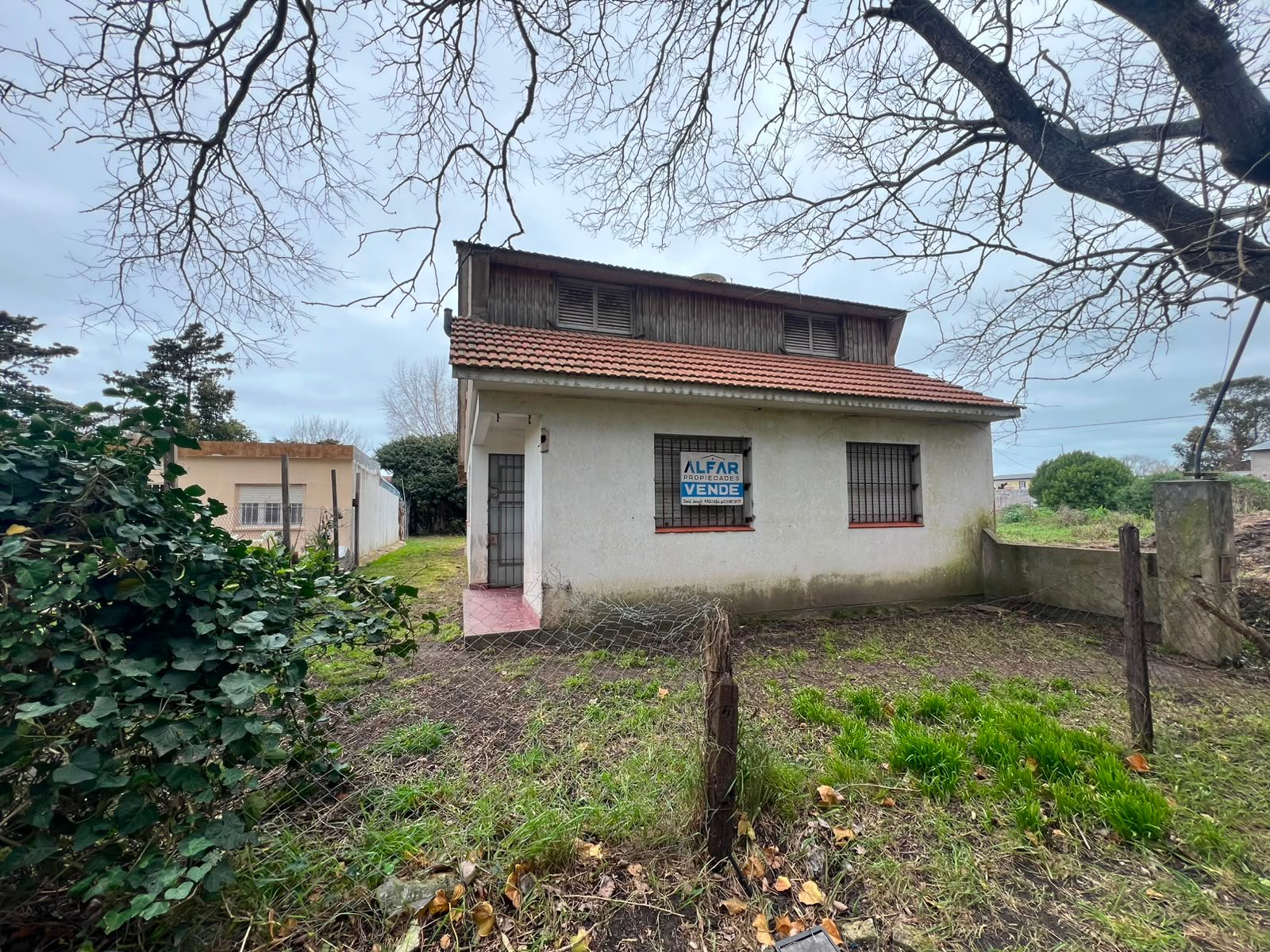 Foto 11