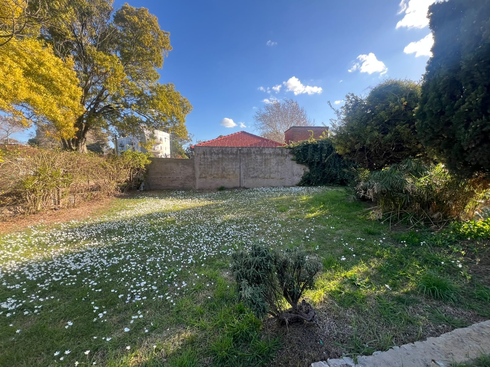 Foto 12